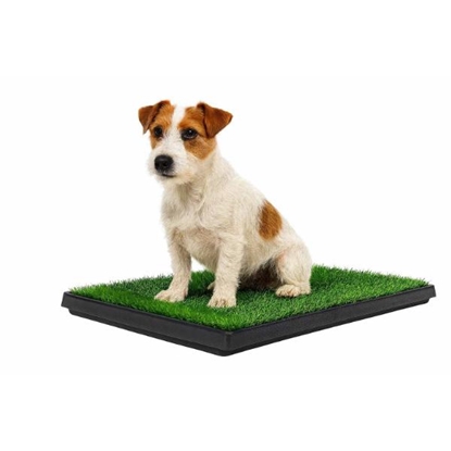 Picture of Pet Smart Toilet Tray with Grass
